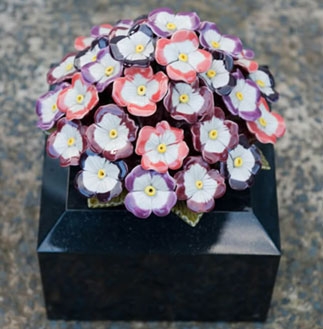 primroses