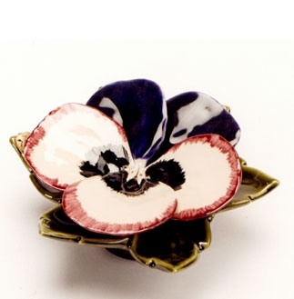 singe-pansy