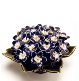 violets