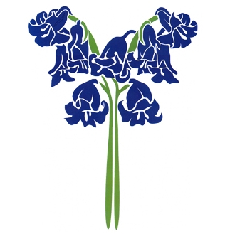 design13