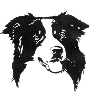 design4